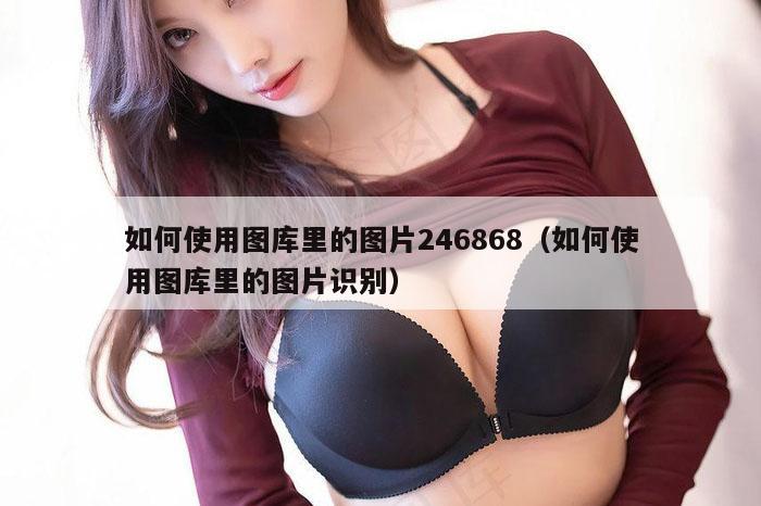 如何使用图库里的图片246868（如何使用图库里的图片识别）